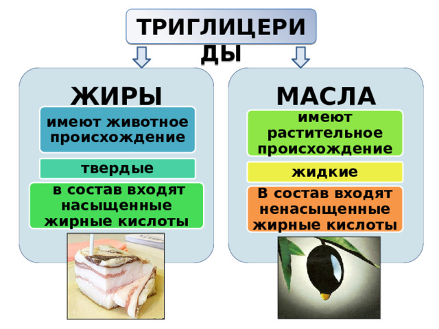 ТРИГЛИЦЕРИДЫ   ЖИРЫ МАСЛА имеют животное происхождение имеют растительное происхождение твердые жидкие  в состав входят насыщенные жирные кислоты В состав входят ненасыщенные жирные кислоты 