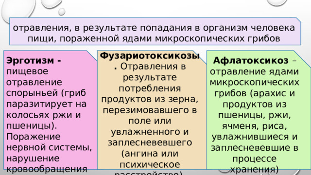 отравления, в результате по­падания в организм человека пищи, пораженной ядами микро­скопических грибов микотоксикозы     Эрготизм - пищевое отравление спорыньей (гриб паразитирует на колосьях ржи и пшеницы). Фузариотоксикозы. Отравления в резуль­тате потребления продуктов из зерна, перезимовавшего в поле или увлажненного и заплесневевшего (ангина или психическое расстройство) Афлатоксикоз – отравление ядами микроскопических грибов (арахис и продуктов из пшеницы, ржи, ячменя, риса, увлажнившиеся и заплесневев­шие в процессе хранения) Поражение нервной системы, нарушение кровообращения 