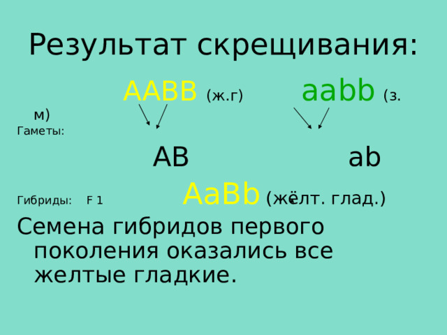 Результат скрещивания:     AABB  (ж.г) aabb  (з. м) Гаметы:  AB  ab Гибриды: F 1 AaBb  (жёлт. глад.) Семена гибридов первого поколения оказались все желтые гладкие. 