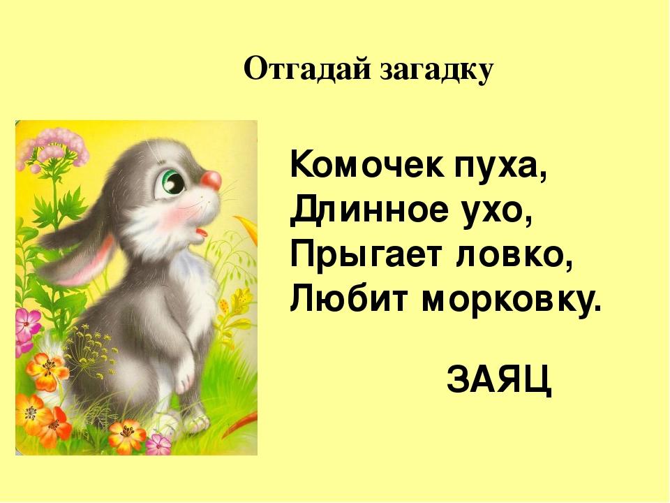 Занятие 10 про зайчат и зайчиху. Загадка про зайца. Загадка про зайчика. Загадка про зайку для младшей группы. Загадка про зайца для детей.