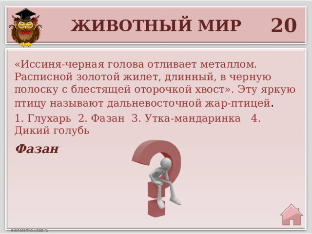 20 Животный мир «Иссиня-черная голова отливает металлом. Расписной золотой жилет, длинный, в черную полоску с блестящей оторочкой хвост». Эту яркую птицу называют дальневосточной жар-птицей . 1. Глухарь 2. Фазан 3. Утка-мандаринка 4. Дикий голубь Фазан 