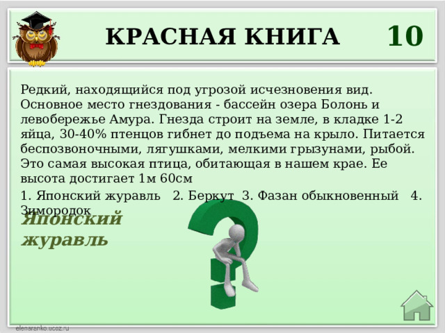 10 Красная книга Редкий, находящийся под угрозой исчезновения вид. Основное место гнездования - бассейн озера Болонь и левобережье Амура. Гнезда строит на земле, в кладке 1-2 яйца, 30-40% птенцов гибнет до подъема на крыло. Питается беспозвоночными, лягушками, мелкими грызунами, рыбой. Это самая высокая птица, обитающая в нашем крае. Ее высота достигает 1м 60см 1. Японский журавль 2. Беркут 3. Фазан обыкновенный 4. Зимородок Японский журавль 