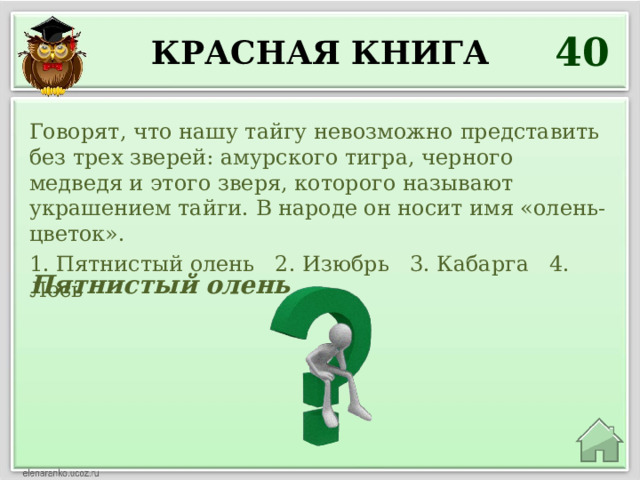 40 Красная книга Говорят, что нашу тайгу невозможно представить без трех зверей: амурского тигра, черного медведя и этого зверя, которого называют украшением тайги. В народе он носит имя «олень-цветок». 1. Пятнистый олень 2. Изюбрь 3. Кабарга 4. Лось Пятнистый олень 