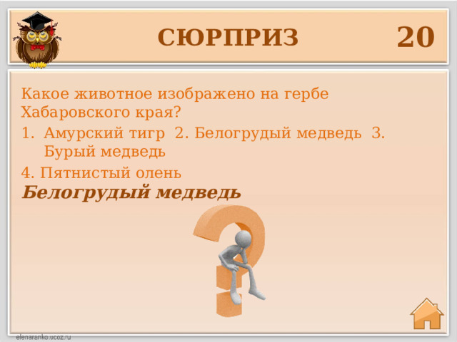 20 сюрприз Какое животное изображено на гербе Хабаровского края? Амурский тигр 2. Белогрудый медведь 3. Бурый медведь 4. Пятнистый олень Белогрудый медведь 