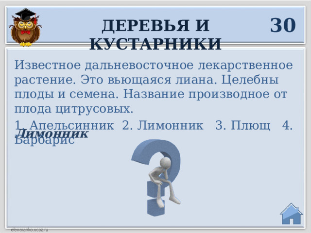 30 Деревья и кустарники Известное дальневосточное лекарственное растение. Это вьющаяся лиана. Целебны плоды и семена. Название производное от плода цитрусовых. 1. Апельсинник 2. Лимонник 3. Плющ 4. Барбарис Лимонник  