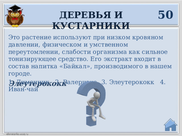 50 Деревья и кустарники Это растение используют при низком кровяном давлении, физическом и умственном переутомлении, слабости организма как сильное тонизирующее средство. Его экстракт входит в состав напитка «Байкал», производимого в нашем городе. 1. Лимонник 2. Валериана 3. Элеутерококк 4. Иван-чай Элеутерококк  