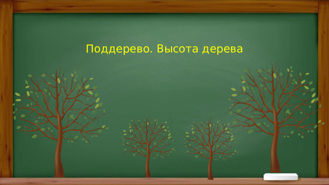 Поддерево. Высота дерева 