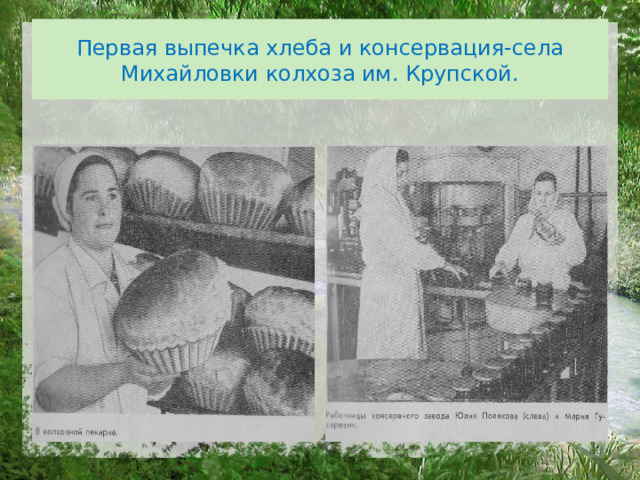 Первая выпечка хлеба и консервация-села Михайловки колхоза им. Крупской. 