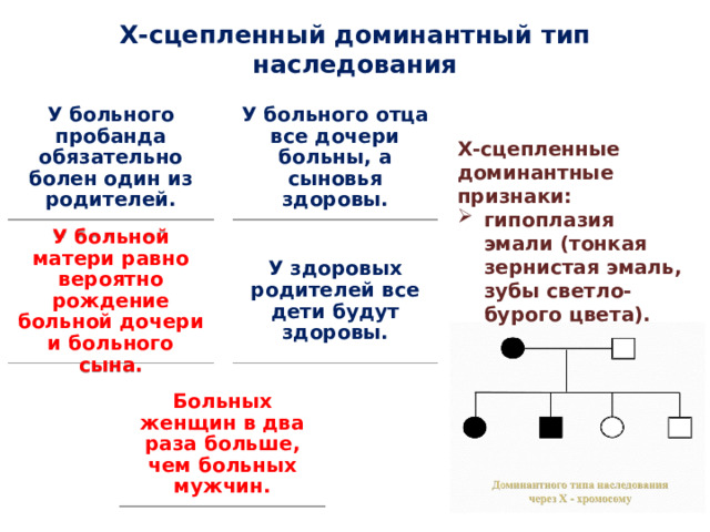 Доминантный тип. Сцепленный доминантный Тип наследования.