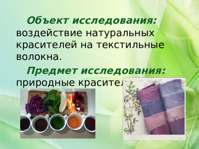  Объект исследования: воздействие натуральных красителей на текстильные волокна.  Предмет исследования: природные красители 