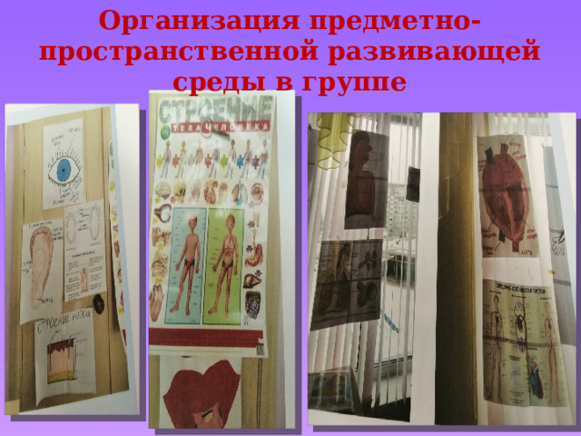 Организация предметно-пространственной развивающей среды в группе 