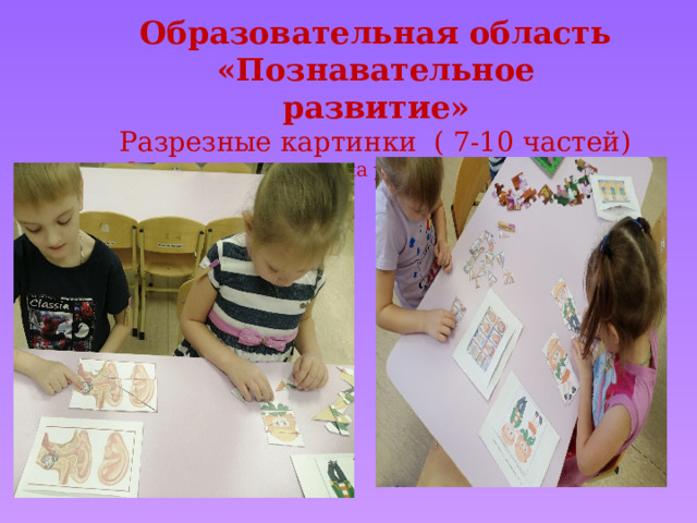 Образовательная область «Познавательное развитие» Разрезные картинки ( 7-10 частей) -Задание направлено на умение собирать целое из частей 
