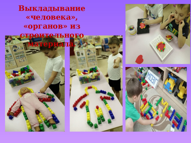 Выкладывание «человека», «органов» из строительного материала. 