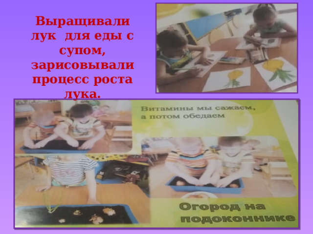 Выращивали лук для еды с супом, зарисовывали процесс роста лука.  