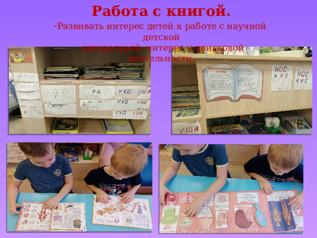 Работа с книгой. - Развивать интерес детей к работе с научной детской  литературой, интерес к поисковой деятельности. 