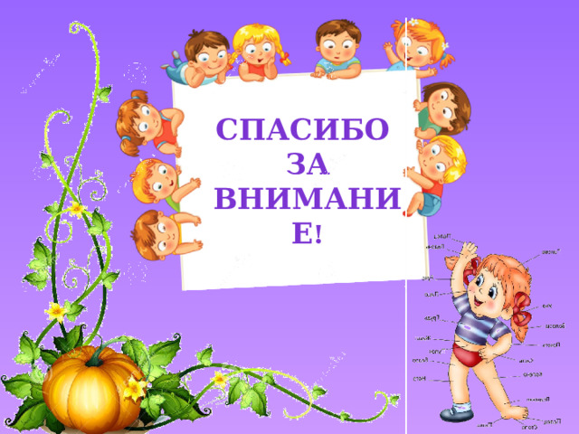 Спасибо за внимание ! 