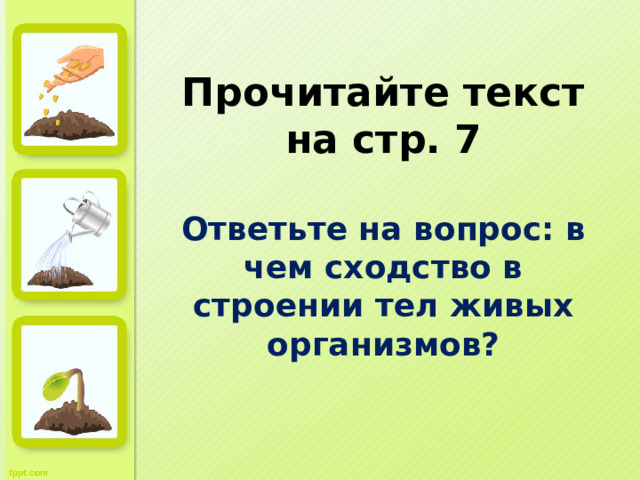 Прочитайте текст на стр. 7 Ответьте на вопрос: в чем сходство в строении тел живых организмов? 