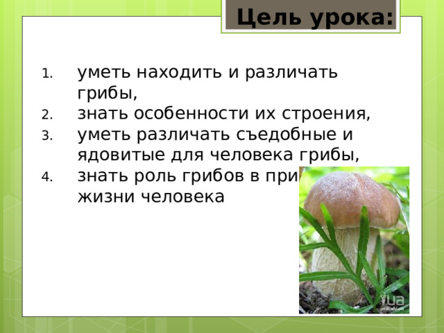 Технологическая карта урока по окружающему миру в 3 классе Тема: "В царстве гриб