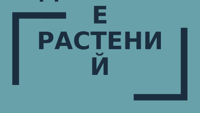 Дыхание растений 