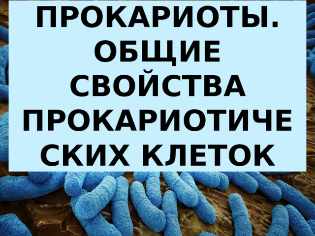 Царство Прокариоты. Общие свойства прокариотических клеток сегодня на уроке продолжим работу по формированию умения находить и выделять необходимую информацию, работать с рисунками, структурировать знания, делать обобщения, сравнения и выводы.  