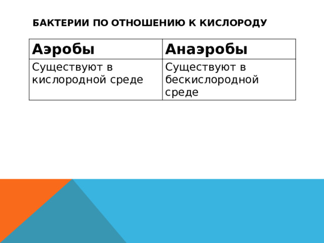 Бактерии по отношению к кислороду Аэробы Анаэробы Существуют в кислородной среде Существуют в бескислородной среде 