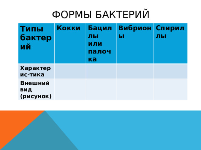 Формы бактерий Типы бактерий Кокки Характерис-тика Бациллы или палочка Внешний вид (рисунок) Вибрионы Спириллы Изучите формы бактерий, материал учебника на странице учебника, заполните таблицу в тетради. По форме бактерии делятся на кокки (диплококки, стрептококки, стафилококки), бациллы ,вибрионы, спириллы и др. В ходе дальнейшего изучения бактерий необходимо выяснить, можно ли бактерии считать живыми организмами?  