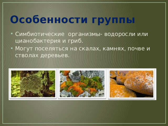 Группа симбиотических организмов. Особенности симбиотических водорослей. Симбиотические организмы. Симбиотические группы грибов. Водоросль являющаяся комплексным симбиотическим организмом.