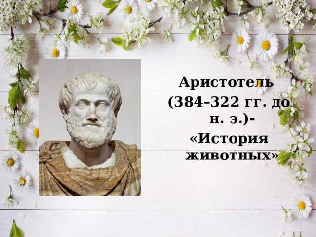 Аристотель  (384–322 гг. до н. э.)-  «История животных» 