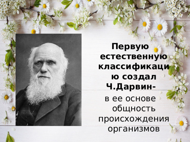 Первую естественную классификацию создал Ч.Дарвин- в ее основе общность происхождения организмов 