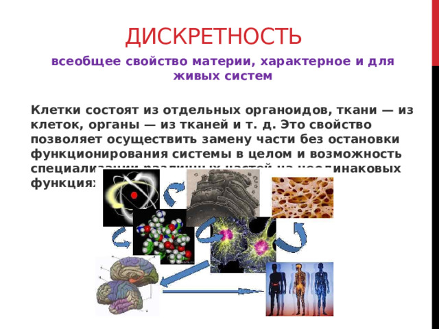 Дискретность всеобщее свойство материи, характерное и для живых систем  Клетки состоят из отдельных органоидов, ткани — из клеток, органы — из тканей и т. д. Это свойство позволяет осуществить замену части без остановки функционирования системы в целом и возможность специализации различных частей на неодинаковых функциях.  