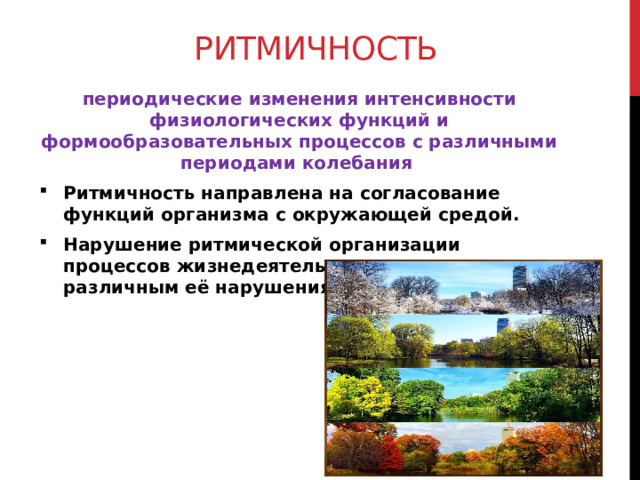 Ритмичность периодические изменения интенсивности физиологических функций и формообразовательных процессов с различными периодами колебания Ритмичность направлена на согласование функций организма с окружающей средой. Нарушение ритмической организации процессов жизнедеятельности приводит к различным её нарушениям.  