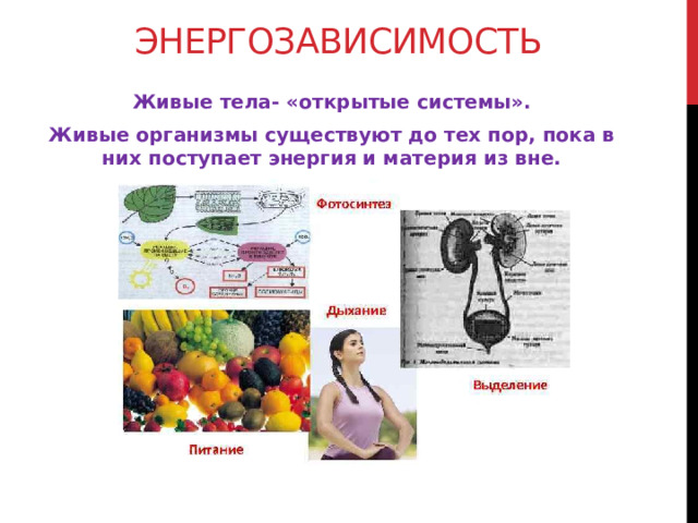 энергозависимость Живые  тела- «открытые системы». Живые организмы существуют до тех пор, пока в них поступает энергия и материя из вне.   