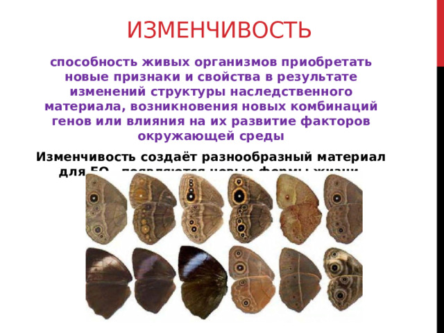 Изменчивость способность живых организмов приобретать новые признаки и свойства в результате изменений структуры наследственного материала, возникновения новых комбинаций генов или влияния на их развитие факторов окружающей среды Изменчивость создаёт разнообразный материал для ЕО—появляются новые формы жизни.  