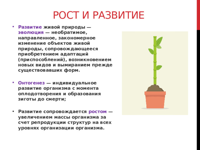 Рост и развитие Развитие живой природы — эволюция — необратимое, направленное, закономерное изменение объектов живой природы, сопровождающееся приобретением адаптаций (приспособлений), возникновением новых видов и вымиранием прежде существовавших форм.  Онтогенез — индивидуальное развитие организма с момента оплодотворения и образования зиготы до смерти;  Развитие сопровождается ростом — увеличением массы организма за счет репродукции структур на всех уровнях организации организма.  