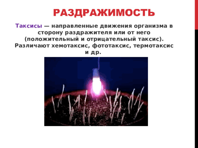 Таксисы — направленные движения организма в сторону раздражителя или от него (положительный и отрицательный таксис). Различают хемотаксис, фототаксис, термотаксис и др.  