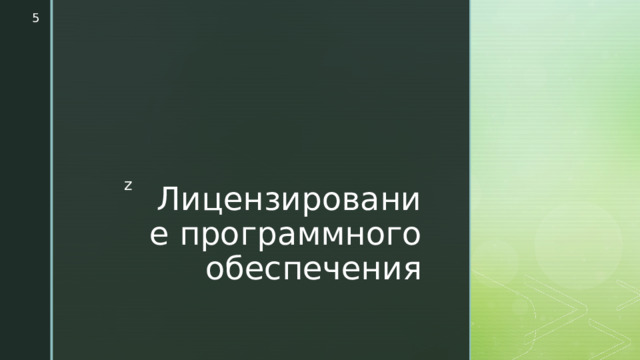  Лицензирование программного обеспечения 
