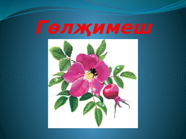 Гөлҗимеш 