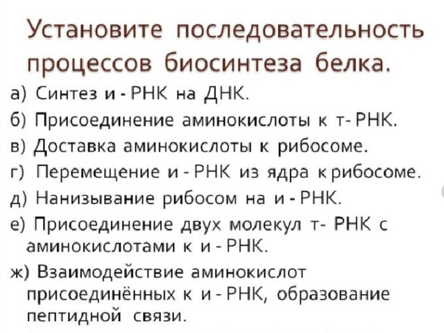 Транскрипция последовательность процессов. Матрицей для синтеза молекулы МРНК при транскрипции служит. Матрицей для синтеза молекулы и-РНК при транскрипции служит ответ. Матрицей для синтеза молекулы и-РНК при транскрипции служит.