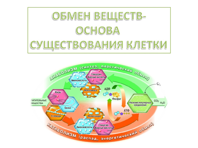 Вещество основа