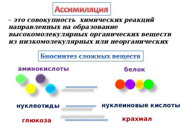 – это совокупность химических реакций направленных на образование высокомолекулярных органических веществ из низкомолекулярных или неорганических  аминокислоты белок нуклеиновые кислоты нуклеотиды крахмал глюкоза 