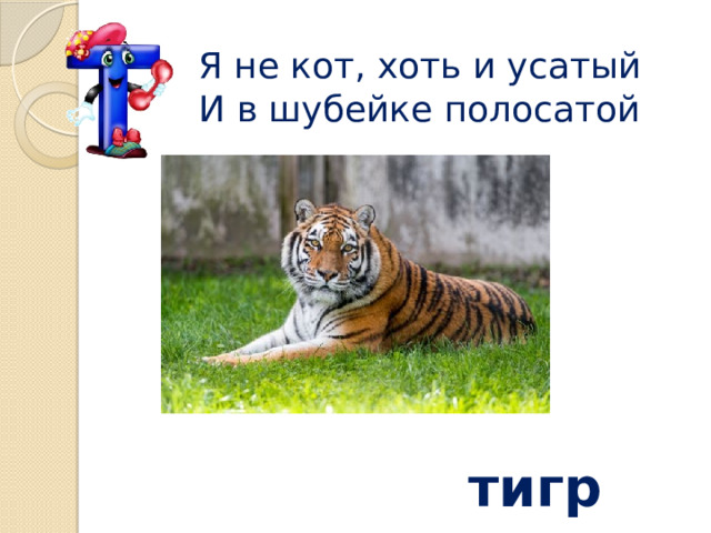 Я не кот, хоть и усатый И в шубейке полосатой    тигр 
