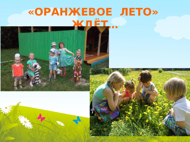 «ОРАНЖЕВОЕ ЛЕТО» ЖДЁТ… 