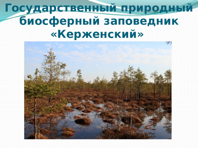 Государственный природный биосферный заповедник «Керженский» 