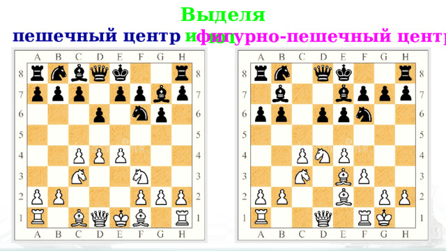 Выделяют пешечный центр и  фигурно-пешечный центр 