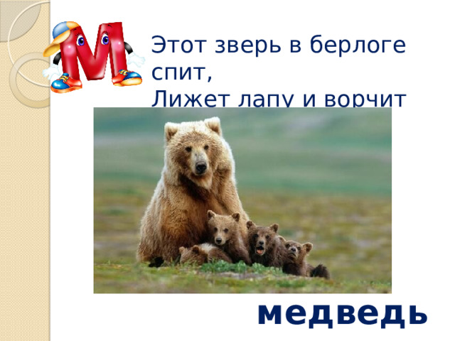 Этот зверь в берлоге спит,  Лижет лапу и ворчит медведь 