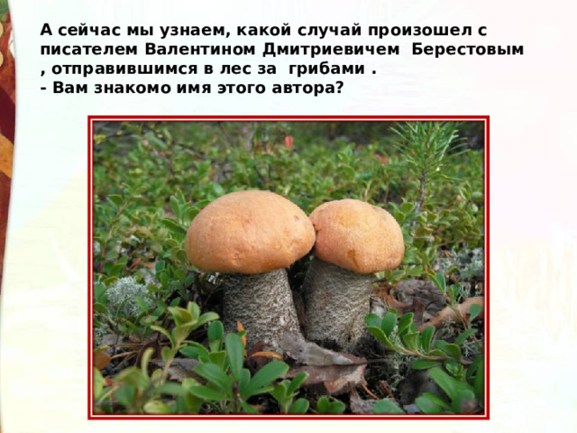 А сейчас мы узнаем, какой случай произошел с писателем Валентином Дмитриевичем  Берестовым , отправившимся в лес за  грибами . - Вам знакомо имя этого автора? 