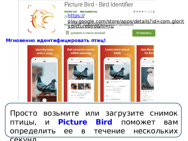 https:// play.google.com/store/apps/details?id=com.glority.picturebird&hl=ru  Мгновенно идентифицировать птиц! Просто возьмите или загрузите снимок птицы, и Picture Bird поможет вам определить ее в течение нескольких секунд 