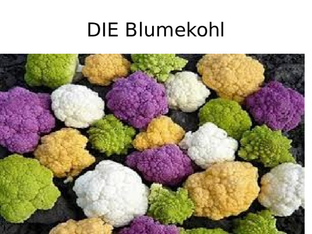 DIE Blumekohl 