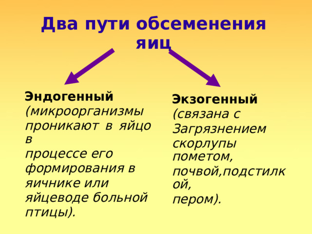 Два пути обсеменения яиц Эндогенный  (микроорганизмы проникают в яйцо в процессе его формирования в яичнике или яйцеводе больной птицы). Экзогенный (связана с Загрязнением скорлупы пометом, почвой,подстилкой, пером).  