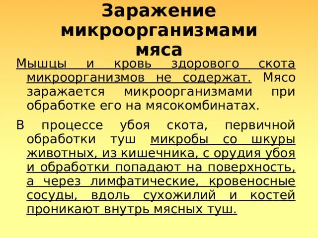 Заражение микроорганизмами  мяса Мышцы и кровь здорового скота микроорганизмов не содержат. Мясо заражается микроорганизмами при обработке его на мясокомбинатах. В процессе убоя скота, первичной обработки туш микробы со шкуры животных, из кишечника, с орудия убоя и обработки попадают на поверхность, а через лимфатические, кровеносные сосуды, вдоль сухожилий и костей проникают внутрь мясных туш.  